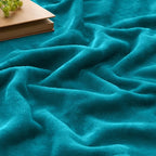 BEDELITE Throw Blanket for Couch and Bed - 300GSM Luxury Plush Cozy Fleece Blanket 50x60 Inches Bluebird, Soft Lightweight Blanket for Travel Camping