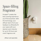 Pura & Guy Fox Home Scent Refill - Smart Air Diffuser - Up to 120-Hours of Luxury Fragrance per Refill - Home Essential - Clean & Safe Diffuser Fragrance - 2 Pack, Noma