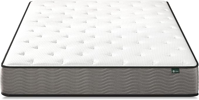 ZINUS 10 Inch Support Plus Pocket Spring Hybrid Mattress, Queen, Strong Coils for Durable Support, Pocket Innersprings for Motion Isolation, Mattress in A Box