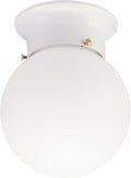 Westinghouse 6660700 Interior Ceiling Fixture 60 Watts, White Finish with Glass Globe