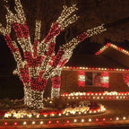 Wintergreen Lighting 50 5mm LED Red Christmas Lights, 6 Spacing, 25' Valentines Day Holiday Lights Mini Lights LED String Lights Christmas String Lights