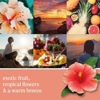 Yankee Candle Scent Plug Refill, Cliffside Sunrise (Pack of 2)