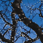 RPGT Christmas Light 100 LEDs 41ft Green Cable Wire Fairy String Twinkle Lights Plug in 12 Modes for Xmas Tree, Party, Outdoor, Garden, Wedding, Home Decoration (White)