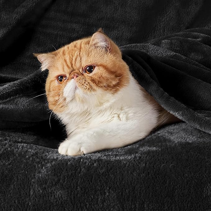 Bedsure GentleSoft Fleece Throw XL Blanket Black - 300GSM Soft Lightweight Plush Cozy Blankets for Bed, Sofa, Couch, Travel, Camping, 50x70 inches