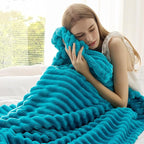 Bedsure GentleSoft Teal Fleece Blanket for Couch - Cozy Soft Blankets for Women, Cute Small Throws for Girls, 50x60 Inches