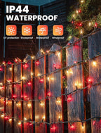 Red Clear Christmas Lights,13FT 50 Count Incandescent Mini Light,Green Wire Christmas String Lights Plug in Waterproof for Tree Xmas Wedding Indoor Outdoor Valentine's Day Decor (Red Clear, 50 Count)