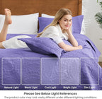 Love's cabin Quilts for Queen Bed Deep Purple Bedspreads Bedding Set - Summer Lightweight Bedspread Comforter - Coin Pattern Bedding Coverlet for All Season - 3 Pieces (1 Quilt, 2 Pillow Shams)