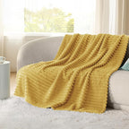 Bedsure GentleSoft Honey Fleece Blanket for Couch - Cozy Soft Blankets for Women, Cute Small Throws for Girls, 60x80 Inches