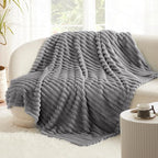 Bedsure GentleSoft Frost Gray Fleece Blanket for Couch - Cozy Soft Blankets for Women, Cute Small Throws for Girls, 50x60 Inches