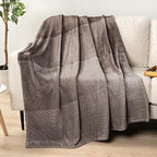 PAVILIA Taupe Ombre Fleece Throw Blanket for Couch, Soft Flannel Blanket for Sofa Bed Room, Plush Lightweight Tan Light Brown Gradient Blanket, Cozy Microfiber Decorative Gift Throw, 50x60