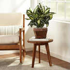 Nearly Natural 22IN Artificial Triple Golden Dieffenbachia Plant with Decorative Wood Planter, Faux Plant for Indoor Home Décor