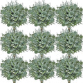 Serwalin 300 pcs Artificial Mixed Eucalyptus Leaves Stems Bulk, 4 Kinds Silver Dollar Eucalyptus Leaves Picks,Faux Greenery Stems Sprays for DIY Bouquets Floral Arrangement Home Decor