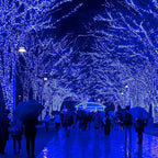 Christmas String Lights, 33FT 100 LEDs Blue Halloween String Lights 8 Modes Fairy Lights with End-to-End Plug Decoration for Christmas Tree Indoor Outdoor