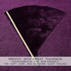 HOZY Soft Blanket Twin Size Fleece Warm Fuzzy Throw Blankets for The Bed Sofa Lightweight 350GSM Purple 66"*90"