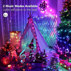 BrizLabs Christmas Fairy String Lights, 33ft 100 LED Color Changing Christmas Fairy Lights with Remote Timer, USB Rainbow Xmas Light Music Sync RGB Twinkle Light for Xmas Halloween Home Party Wedding