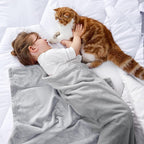 Bedsure GentleSoft Bedding Fleece Blanket for Girls and Boys - Soft Cozy Cute Small Throw Blankets for Travel, 43x55 Inches, Light Grey