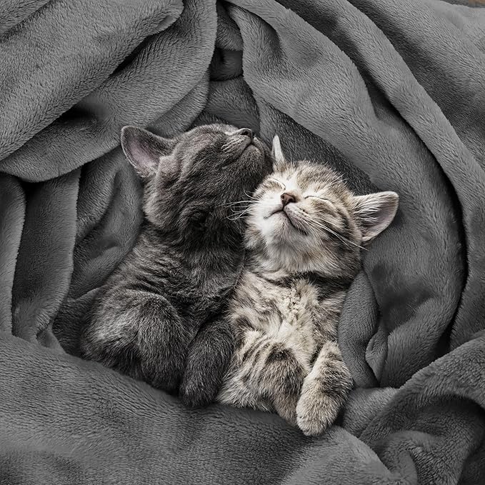Utopia Bedding Fleece Blanket Twin Size Grey 300GSM Luxury Anti-Static Fuzzy Soft Microfiber Bed Blanket (90x66 Inch)