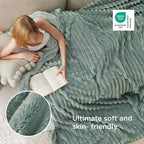 Bedsure GentleSoft Blankets Queen Size for Bed - Cozy Soft Blankets for Women, Cute Large Fleece Throws for Girls, Sage Green, 90x90 Inches