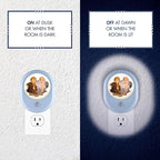 Disney Frozen II MySelect LED Night Light, Motion Sensor, Dusk-to-Dawn, Featuring Anna and Elsa, Ideal for Girls' Bedrooms, Nurseries, or Bathrooms – 44473
