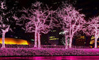 612 Vermont 50 Pink Christmas Lights on a White Wire String, UL Approved, Indoor and Outdoor Use, 9 Foot of Lighted Length, 11 Foot of Total Length