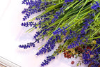 12 Bundles Outdoor Artificial Plants Flowers UV Resistant Fake Tall Grass Plants Bushes Faux Tropical Shrubs for Outside Window Box Planter Front Porch Yard Patio Floral Arrangement