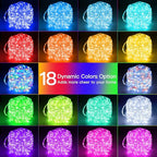 Ollny Rope Lights Outdoor Color Changing, 66FT 200 LED Waterproof Plug in Christmas Lights with Remote, 16 Colors Twinkle Outdoor String Lights for Outside Indoor Party Easter Holiday Decorations