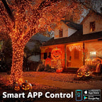 Brizled Smart Halloween Lights, 300 LED 98FT Orange & Purple Color Changing String Lights APP & Voice Control, Music Sync, Dimmable Ghostfire Flow Light for Outdoor Indoor Halloween Thanksgiving Decor