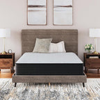 Signature Design by Ashley Queen Size Palisades 14 Inch Plush Hybrid Mattress with Quick Response Gel Memory Foam, Fiberglass Free, Mattress In A Box