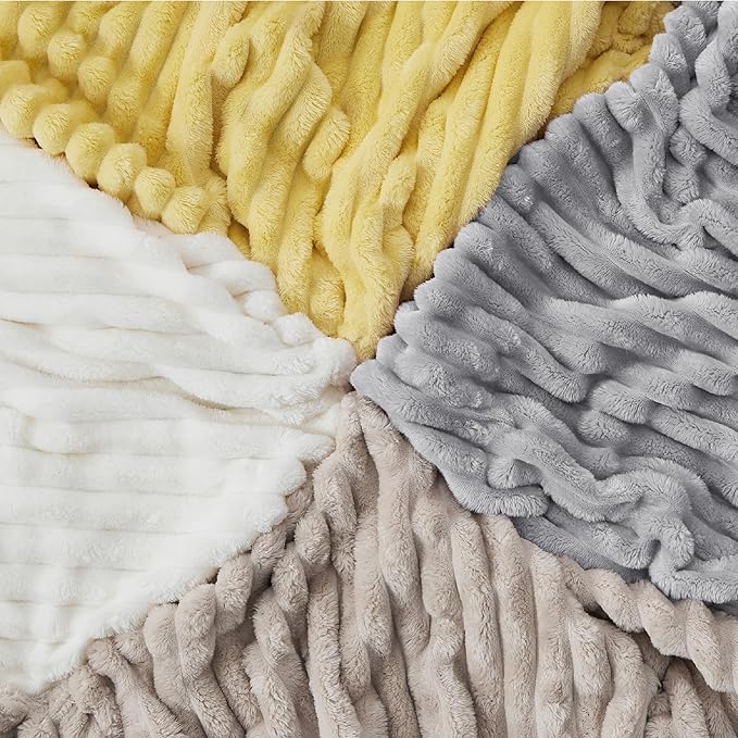 Bedsure GentleSoft Twin Blanket for Couch - Cozy Soft Blankets for Women, Cute Small Fleece Throws for Girls, Light Grey, 60x80 Inches