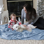 Bedsure GentleSoft Fleece Blankets Twin Size Light Blue - 300GSM Lightweight Plush Fuzzy Cozy Soft Blanket for Bed, Sofa, Couch, Travel, Camping, 60x80 inches