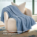 Bedsure GentleSoft Fall Throw Blanket for Couch - Cozy Soft Blankets for Women, Cute Small Throws for Girls, Ashley Blue, 50x60 Inches
