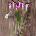 FiveSeasonStuff Real Touch Calla Lily Artificial Flowers, Wedding Bridal Floral Arrangements (25'' 6 Long Stems, Autumn Purple)