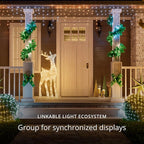 Twinkly Strings 250 White LED, LED Light String for Outdoor and Indoor, White Christmas Lights from Warm to Cool, Mappable LEDs, Compatible with Alexa, Google Home, IP44, App Control, Black Wire, 65ft