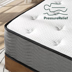 ZINUS 10 Inch Support Plus Pocket Spring Hybrid Mattress, Queen, Strong Coils for Durable Support, Pocket Innersprings for Motion Isolation, Mattress in A Box