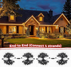 Brightown 100 Feet C9 Christmas String Lights, Outdoor Christmas Lights with 100 Clear C9 Light Bulbs for Outdoor Patio Room Party Backyard Christmas Decoration, Glass Bulb, Black Line