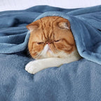 Bedsure GentleSoft Fleece Blankets Queen Size Washed Blue - Bed Blanket Soft Lightweight Plush Fuzzy Cozy Luxury Microfiber, 90x90 inches