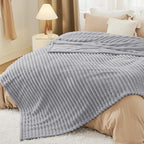 Bedsure GentleSoft Blankets Queen Size for Bed - Cozy Soft Blankets for Women, Cute Large Fleece Throws for Girls, Light Grey, 90x90 Inches