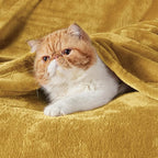 Bedsure GentleSoft Fleece Blanket Twin Size Yellow - 300GSM Lightweight Plush Fuzzy Cozy Soft Warm Blanket for Bed, Sofa, Couch, Travel, Camping, 60x80 inches