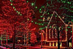 612 Vermont 50 Red Christmas Lights on a White Wire String, UL Approved, Indoor and Outdoor Use, 9 Foot of Lighted Length, 11 Foot of Total Length