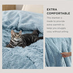 Bedsure GentleSoft Fluffy Light Blue King Size Blanket for Bed, Thick Soft Sherpa Faux Fur Fleece Bedding Fuzzy Plush Winter Warm Heavy Big Large King Blanket, Cozy Blue Gifts for Men Women, 108x90