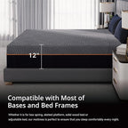 EGOHOME 12 Inch Twin Memory Foam Mattress for Back Pain, Cooling Copper Gel Bed in a Box, Foam Made in USA, CertiPUR-US Certified, Therapeutic Medium Firm, Daybed 38x75x12 Black