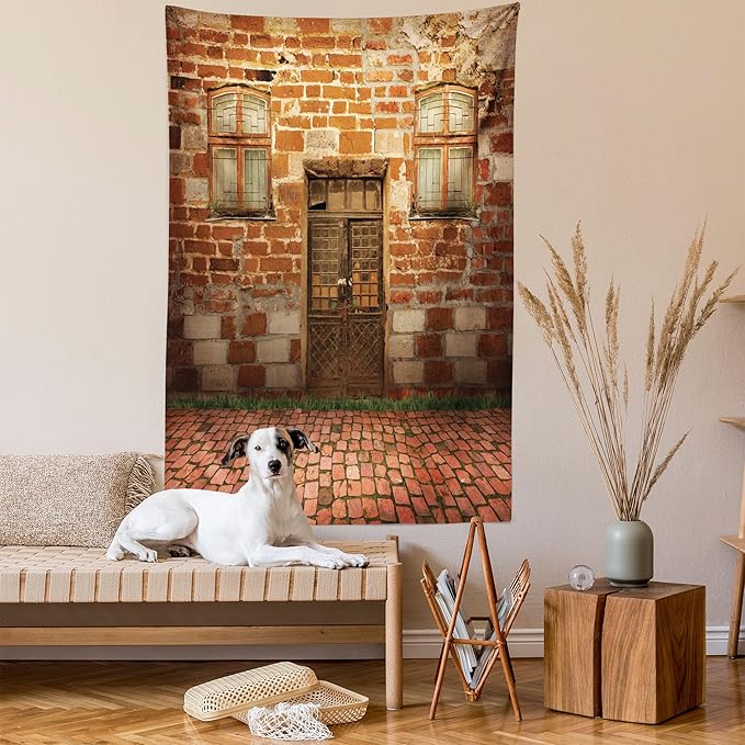 Ambesonne Rustic Tapestry, Antique Exterior with Old Door and Windows Frontage Aged Building Print, Wall Hanging for Bedroom Living Room Dorm, 60" X 80", Cinnamon Brown