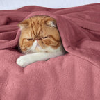 Bedsure GentleSoft Fleece Blankets Twin Size Dusty Rose - 300GSM Lightweight Plush Fuzzy Cozy Soft Blanket for Bed, Sofa, Couch, Travel, Camping, 60x80 inches