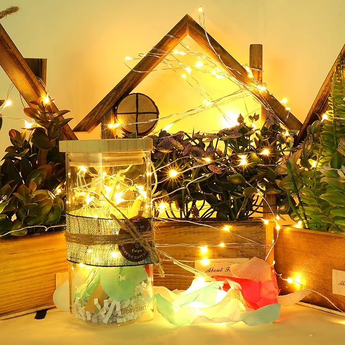 Ehome Fairy Lights USB Powered Fairy Lights Plug in 66ft 200 Led String Lights Decorative Lights for Bedroom Indoor Christmas Wedding Party Patio Window (Warm White)