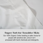 LANE LINEN 100% Organic Cotton Twin Sheets Set, 6Pc Twin Bed Sheets, Breathable Cotton Sheets Twin Size Bed Set, Dorm Room Essentials with 15" Deep Pocket Fitted Sheet - White Twin Sheets (2 Pack)