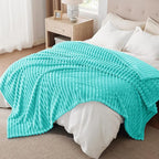 Bedsure GentleSoft Blue Queen Blanket for Bed - Cozy Soft Blankets for Women, Cute Small Fleece Throws for Girls, Birthday Gifts for Women Decor Gifts for Mom, Blue Fog, 90x90 Inches