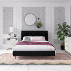 Novogratz The Her Majesty Upholstered Bed, Queen, Black Velvet