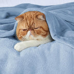Bedsure GentleSoft Fleece Blankets Twin Size Light Blue - 300GSM Lightweight Plush Fuzzy Cozy Soft Blanket for Bed, Sofa, Couch, Travel, Camping, 60x80 inches