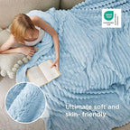 Bedsure GentleSoft Blue California King Size Blanket for Couch - Cozy Soft Blankets for Women, Cute Small Fleece Throws for Girls, Birthday Gifts for Women, Light Blue, 102x96 Inches