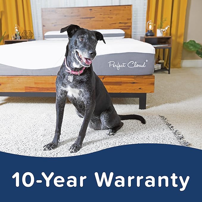 Perfect Cloud Made in The USA UltraPlush Charcoal-Infused 10 inch Memory Foam Mattress - Pressure Relieving - Bed-in-a-Box (Queen)